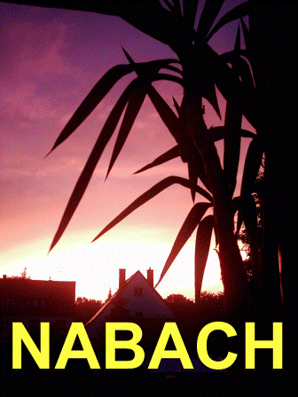 www.NABACH.de zur Startseite / Home